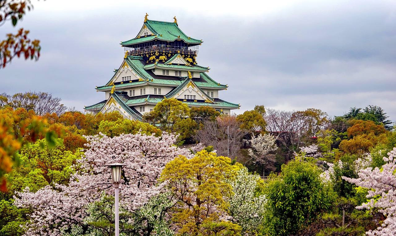 南岸追寻梦想的起点：为何选择高考后去日本留学？